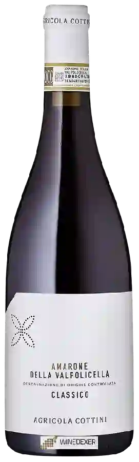 Winery Cottini - Amarone della Valpolicella Classico Winery Cottini - Amarone della Valpolicella Classico