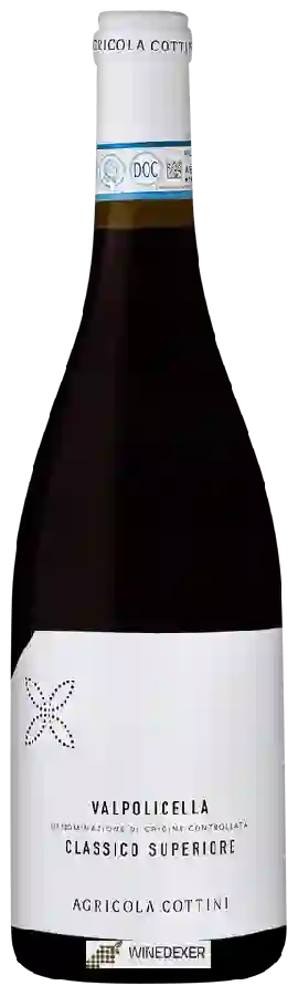 Winery Cottini - Valpolicella Classico Superiore