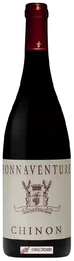 Château de Coulaine - Bonnaventure  Chinon