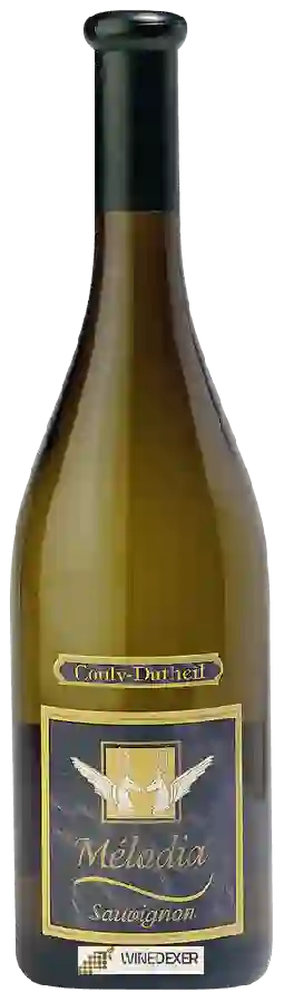 Winery Couly-Dutheil - Mélodia