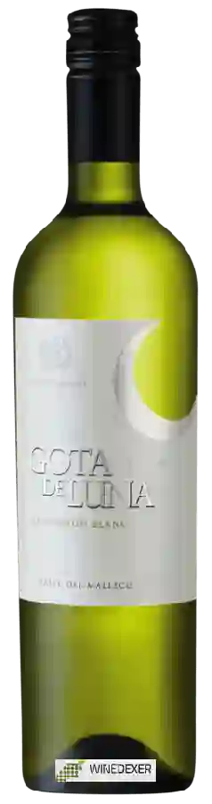 Winery Cousiño-Macul - Gota de Luna Sauvignon Blanc