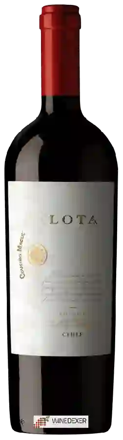 Winery Cousiño-Macul - Lota