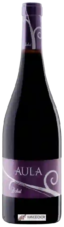 Winery Coviñas - Aula Bobal