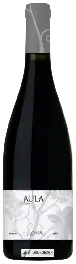 Winery Coviñas - Aula De Autor Syrah