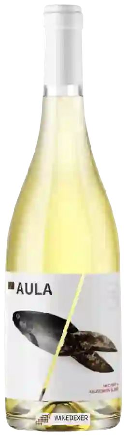 Winery Coviñas - Aula Macabeo - Sauvignon Blanc