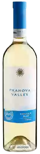 Winery Halewood - Prahova Valley Fetească Alba Demisec