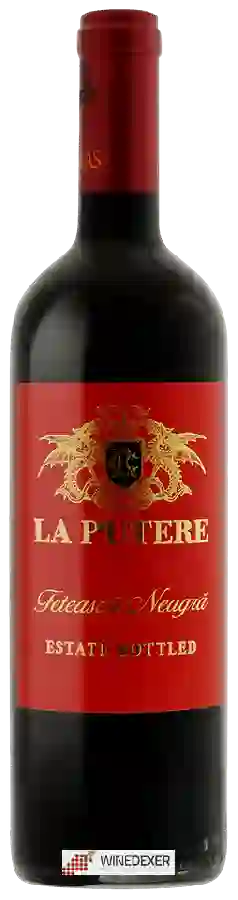 Winery Cramele Recaş - La Putere Fetească Neagră