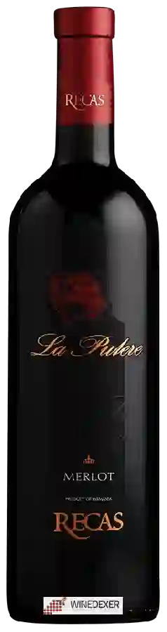 Winery Cramele Recaş - La Putere Merlot