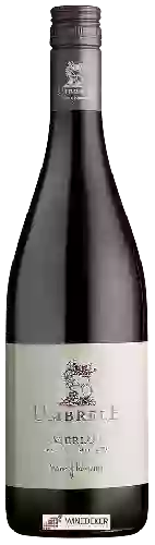 Winery Cramele Recaş - Umbrele Merlot