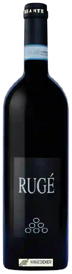Winery Crissante Alessandria - Rugé