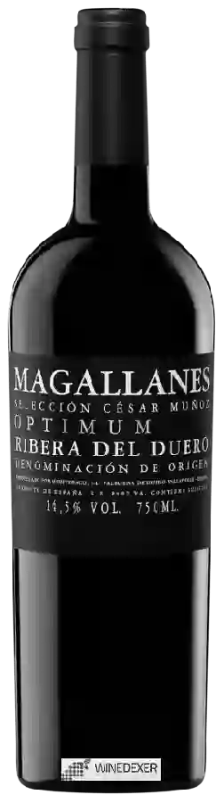 Winery César Muñoz - Magallanes Optimum