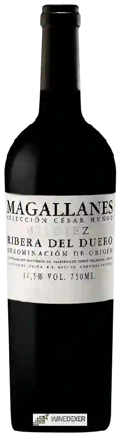 Winery César Muñoz - Magallanes
