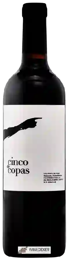 Winery Cuatro Mil Cepas - Cinco de Copas