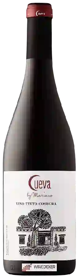 Winery Cueva - Bobal Tinto