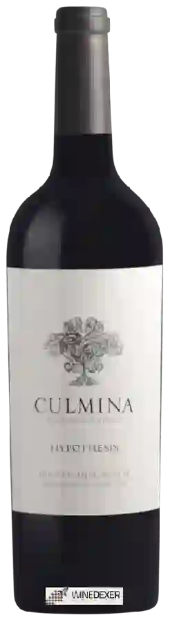 Winery Culmina - Hypothesis