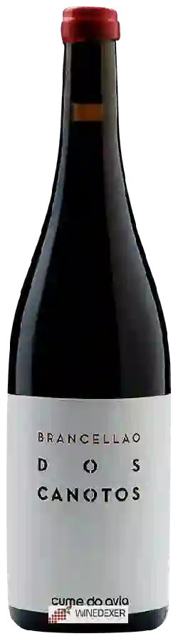 Winery Cume do Avia - Brancellao dos Canotos