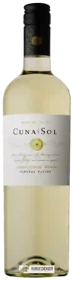 Winery Cuna del Sol - Sauvignon Blanc Winery Cuna del Sol - Sauvignon Blanc