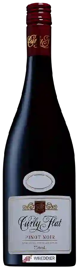 Winery Curly Flat - The Curly Pinot Noir Winery Curly Flat - The Curly Pinot Noir