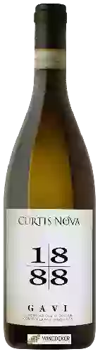 Winery Curtis Nova - Gavi 1888