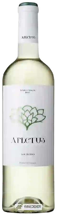 Winery Curvos - Afectus Loureiro