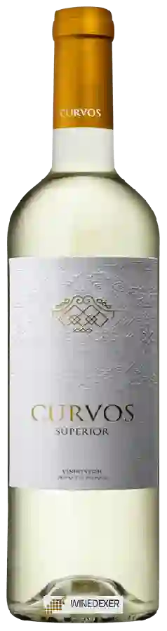 Winery Curvos - Superior