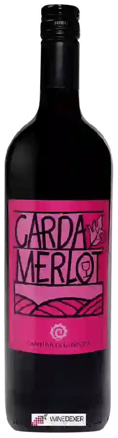 Winery Cantina di Custoza - Merlot