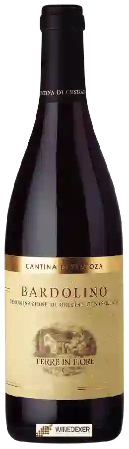 Winery Cantina di Custoza - Terre In Fiore Bardolino Winery Cantina di Custoza - Terre In Fiore Bardolino