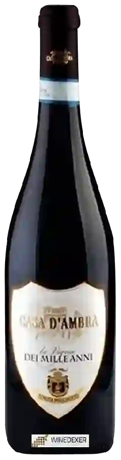 Winery Casa d'Ambra - La Vigna dei Mille Anni Winery Casa d'Ambra - La Vigna dei Mille Anni