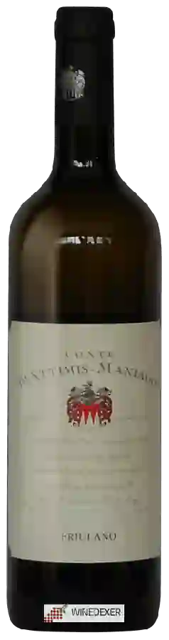Winery Conte d'Attimis Maniago - Friulano