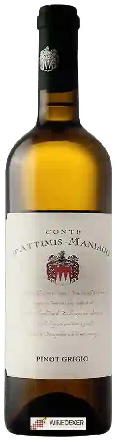 Winery Conte d'Attimis Maniago - Pinot Grigio