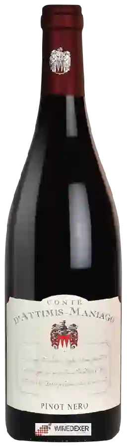 Winery Conte d'Attimis Maniago - Pinot Nero