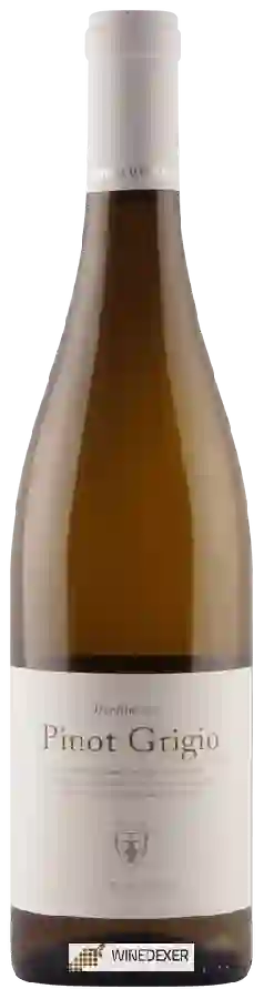 Winery Cantina d'Isera - Pinot Grigio Winery Cantina d'Isera - Pinot Grigio