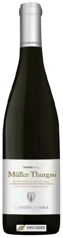Winery Cantina d'Isera - Müller Thurgau Winery Cantina d'Isera - Müller Thurgau