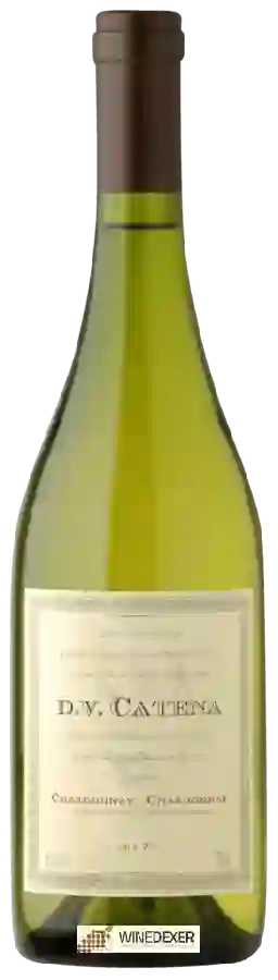 Winery D.V. Catena - Chardonnay - Chardonnay