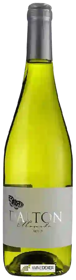 Winery Dalton - Moscato Winery Dalton - Moscato