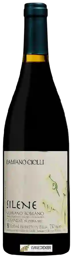 Winery Damiano Ciolli - Silene Cesanese di Olevano Romano Superiore Winery Damiano Ciolli - Silene Cesanese di Olevano Romano Superiore