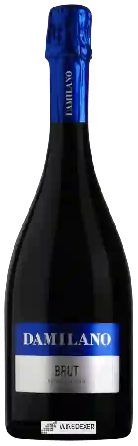 Winery Damilano - Brut Metodo Classico