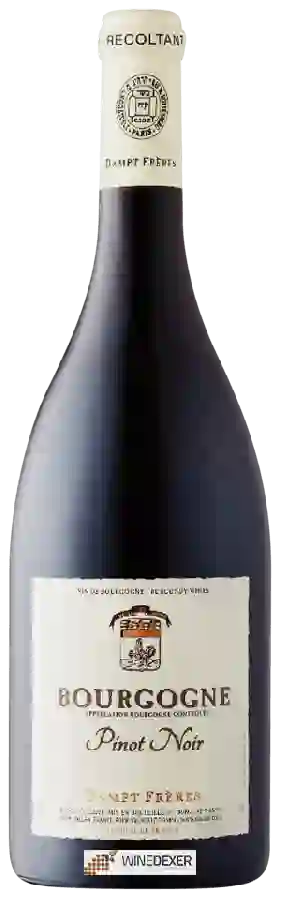Winery Dampt Frères - Bourgogne Pinot Noir Winery Dampt Frères - Bourgogne Pinot Noir