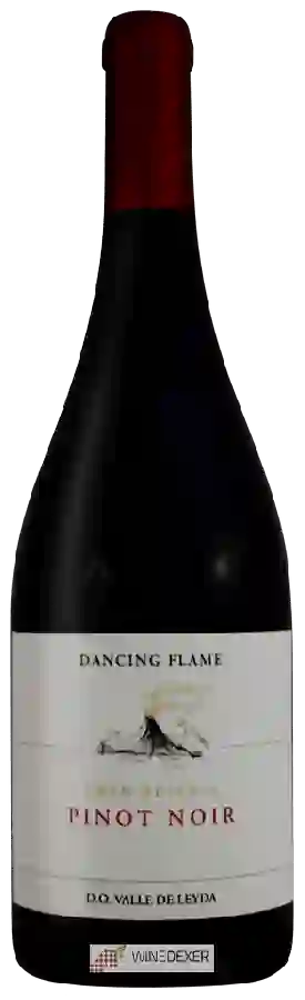 Winery Dancing Flame - Gran Reserva Pinot Noir
