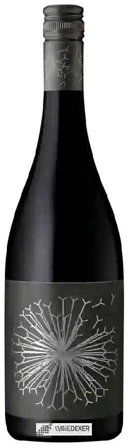 Winery Dandelion Vineyards - Firehawk Farm Shiraz Winery Dandelion Vineyards - Firehawk Farm Shiraz