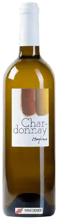 Winery Daniel Magliocco & Fils - Chardonnay Winery Daniel Magliocco & Fils - Chardonnay