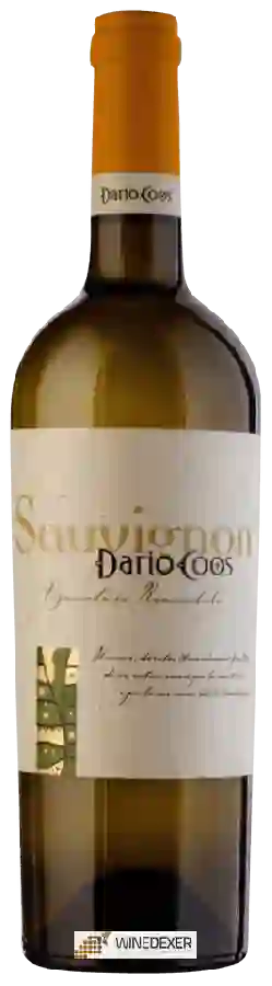 Winery Dario Coos - Sauvignon Winery Dario Coos - Sauvignon