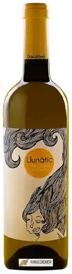Winery Dasca Vives - Llunàtic