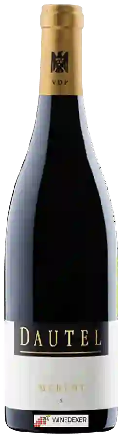 Winery Dautel - Merlot S