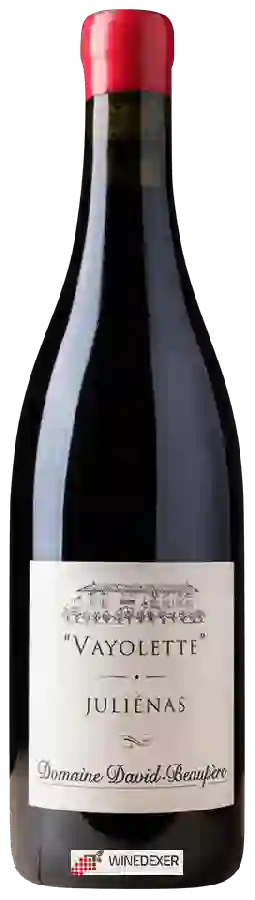 Domaine David-Beaupère - Vayolette Juliénas Domaine David-Beaupère - Vayolette Juliénas