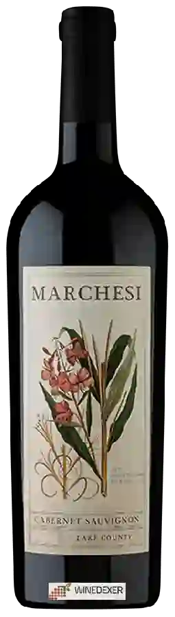 Winery David Marchesi - Cabernet Sauvignon Winery David Marchesi - Cabernet Sauvignon