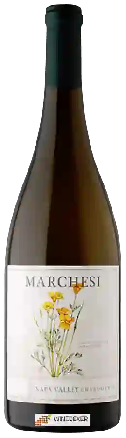 Winery David Marchesi - Chardonnay Winery David Marchesi - Chardonnay