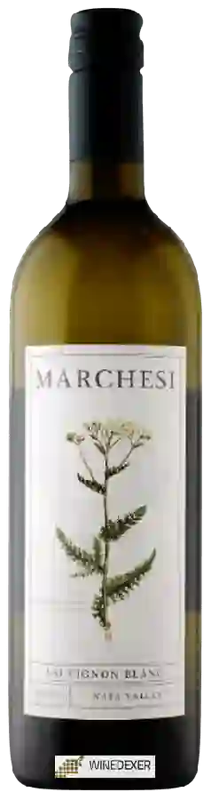 Winery David Marchesi - Sauvignon Blanc Winery David Marchesi - Sauvignon Blanc