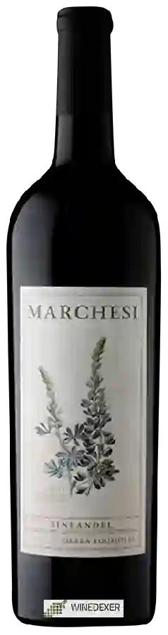 Winery David Marchesi - Zinfandel