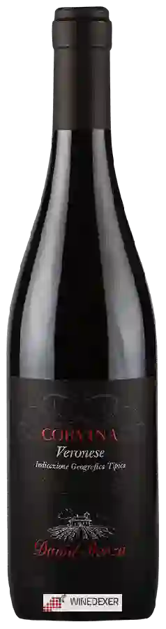 Winery David Sterza - Corvina Veronese